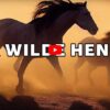 Der wilde Hengst in den Rocky Mountains (atemberaubende Wildlife Doku)