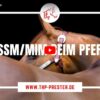 PSSM/MIM beim Pferd