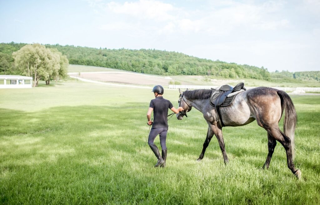 Reiter mit Pferd auf Feld - Kolikprävention und Nachsorge
