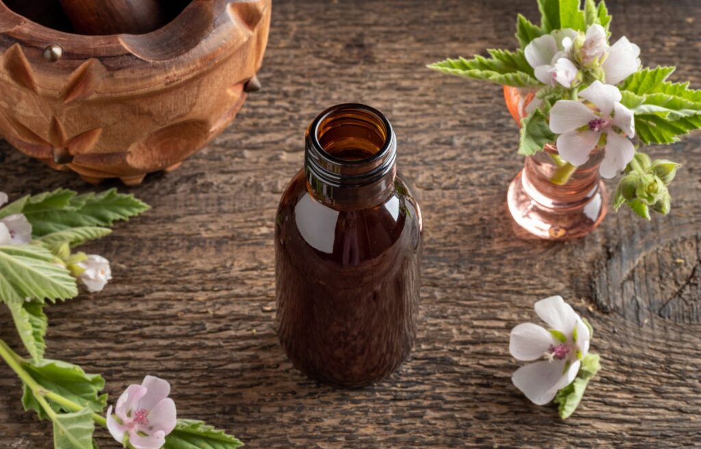 Braunglasfläschchen mit selbsthergestellter Eibischtinktur, umrahmt von blühenden Eibischblumen, als traditionelles Heilmittel in der Pferdeheilkunde.