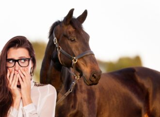 Angst vor eigenem Pferd ? Angstreiter ?