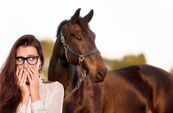 Angst vor eigenem Pferd ? Angstreiter ?