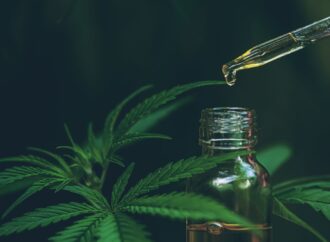 Von Arthrose bis Angst: CBD-Öl für Pferde als Therapie