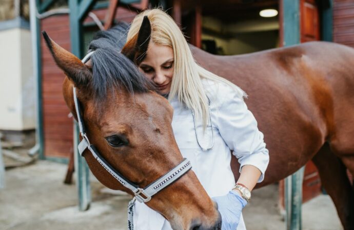 Bastarddruse bei Pferden – Ursachen, Symptome, Behandlung und Prävention