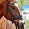 Strotonin fürs Pferd: Die ungeschönte Wahrheit über Wirkung, Inhaltsstoffe und ADMR-Fallen