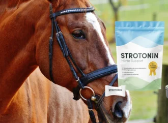 Strotonin fürs Pferd: Die ungeschönte Wahrheit über Wirkung, Inhaltsstoffe und ADMR-Fallen