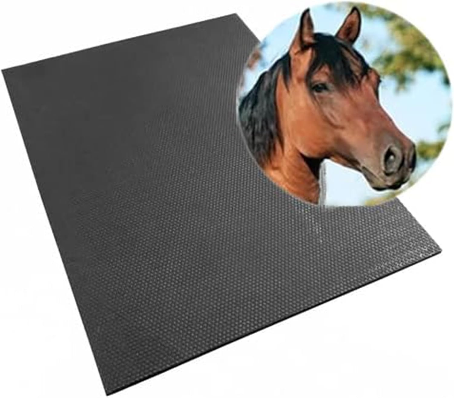 Gummimatte für Paddock — Sandkolik vorbeugen beim Pferd